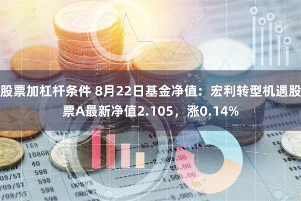 股票加杠杆条件 8月22日基金净值：宏利转型机遇股票A最新净值2.105，涨0.14%