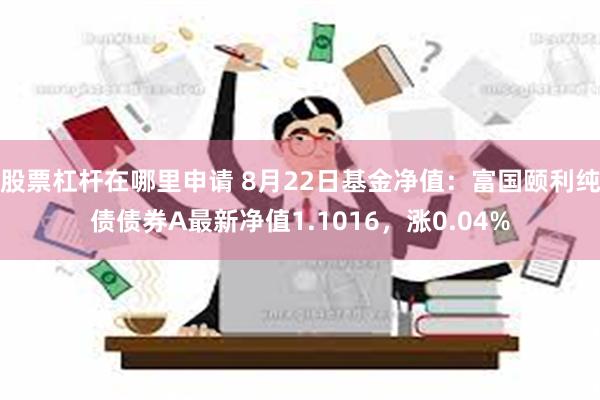 股票杠杆在哪里申请 8月22日基金净值：富国颐利纯债债券A最新净值1.1016，涨0.04%