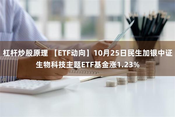 杠杆炒股原理 【ETF动向】10月25日民生加银中证生物科技主题ETF基金涨1.23%