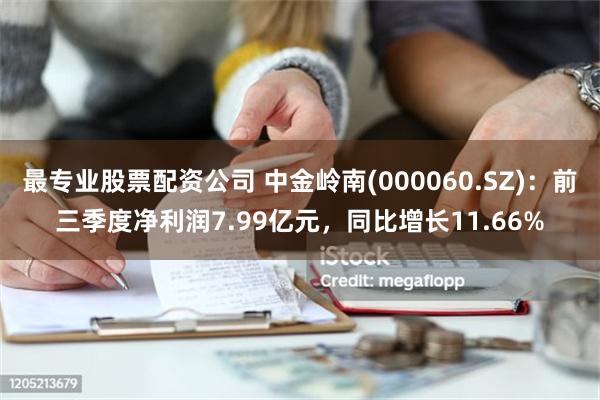 最专业股票配资公司 中金岭南(000060.SZ)：前三季度净利润7.99亿元，同比增长11.66%