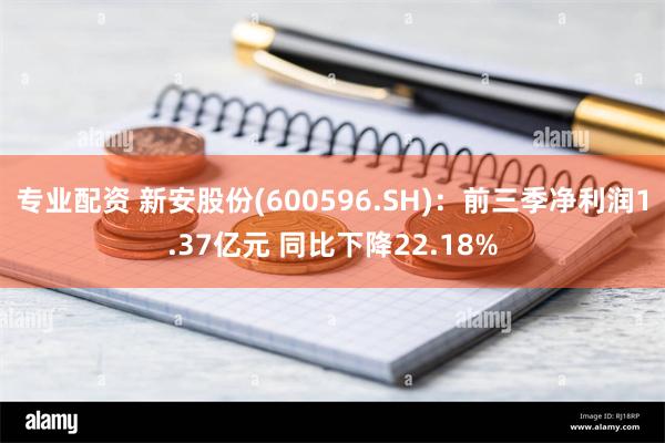 专业配资 新安股份(600596.SH)：前三季净利润1.37亿元 同比下降22.18%