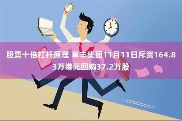 股票十倍杠杆原理 阜丰集团11月11日斥资164.83万港元回购37.2万股