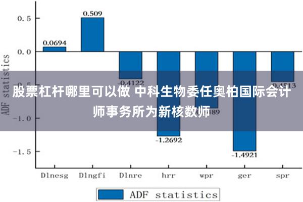 股票杠杆哪里可以做 中科生物委任奥柏国际会计师事务所为新核数师