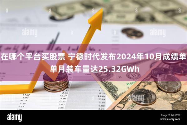 在哪个平台买股票 宁德时代发布2024年10月成绩单 单月装车量达25.32GWh