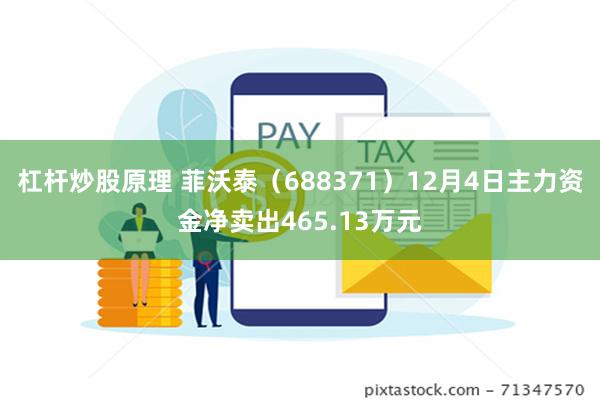 杠杆炒股原理 菲沃泰（688371）12月4日主力资金净卖出465.13万元