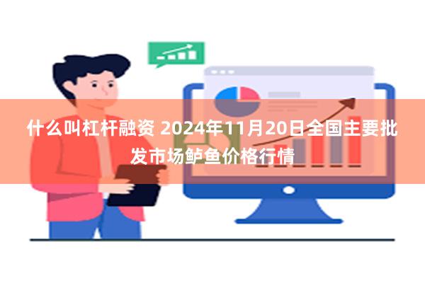 什么叫杠杆融资 2024年11月20日全国主要批发市场鲈鱼价格行情