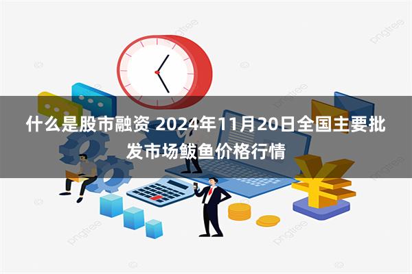 什么是股市融资 2024年11月20日全国主要批发市场鲅鱼价格行情