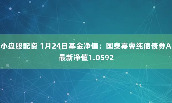 小盘股配资 1月24日基金净值：国泰嘉睿纯债债券A最新净值1.0592